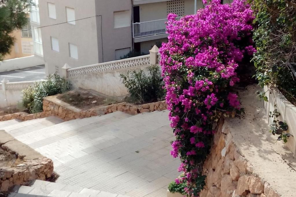 Wendy Y Antonio.Alicante- Santa Pola- Piscina/Playa المظهر الخارجي الصورة